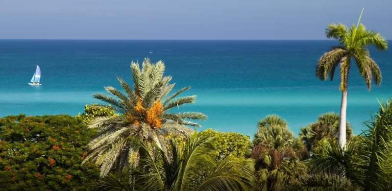 Occidental Arenas Blancas