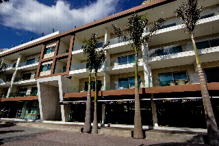 The Palm At Playa